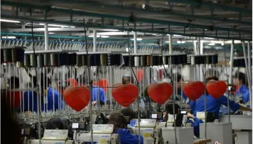 红领参观 红领,国际顶级服装品牌制造基地,学习红领管理模式和品牌文化
