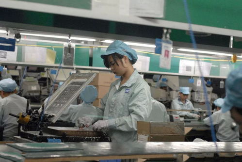 服装厂等手工加工业职业危害大,劳保用品要选对