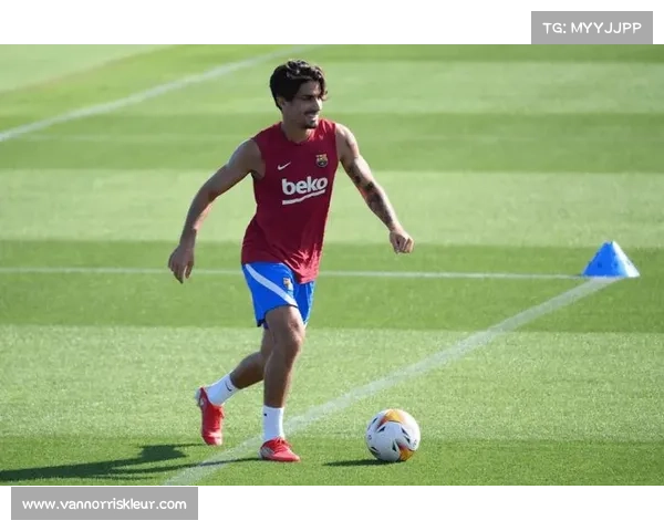 巴塞罗那归属于哪支足球俱乐部及其历史文化与城市认同背景解析详